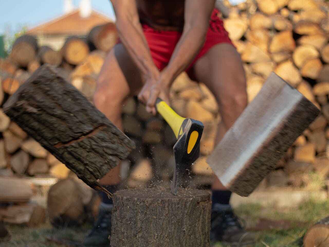 Tree Branch Trimming in Temple, GA